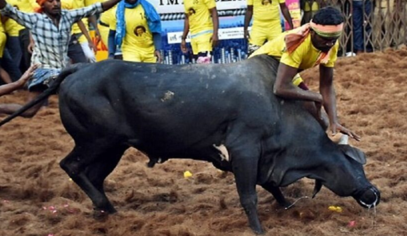Ndeshja me dema del nga situata, dhjetëra të plagosur në Indi Dema