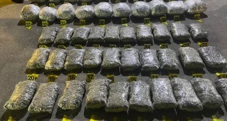 Ishte fshehur në një kamion me targa të huaja, sekuestrohen mbi 100 kg marijuanë në Kosovë kosove 5 770x411 1