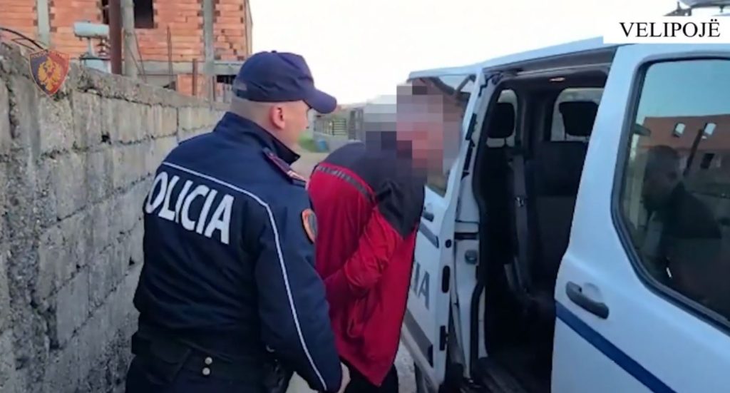 VIDEO/ Kultivimi i kanabisit anës lumit Buna, në pranga i riu. Policia e gjeti tek banesa e motrës në Velipojë Capture 122