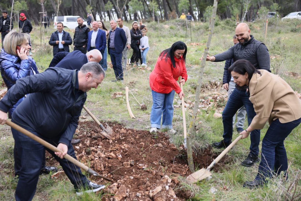 Lista e këshilltarëve të PS-së nis fushatën me mbjellje pemësh, Gjiknuri: Kjo skuadër garanci që Elbasani nuk do të ndalet! 2 WhatsApp Image 2023 04 10 at 16.11.08 2