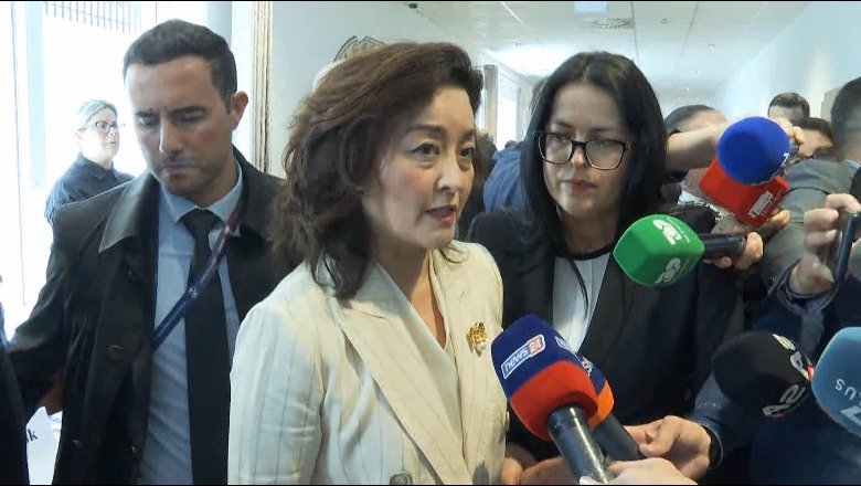 Koordinatori i PL-së blen vota, mesazhi nga ambasadorja Kim: Të merren masa për partitë 1683710007 kim