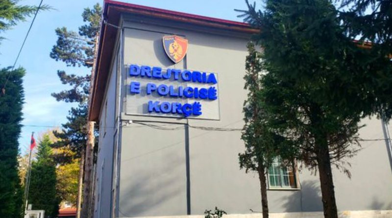I riu godet babanë me sende të forta në kokë, dalin detaje nga 0C293C8E A064 46E9 B124 4E262902D14C