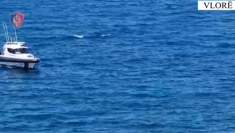 Siguria në plazhe! Bllokohen dy mjete lundruese 1686308380 vlore