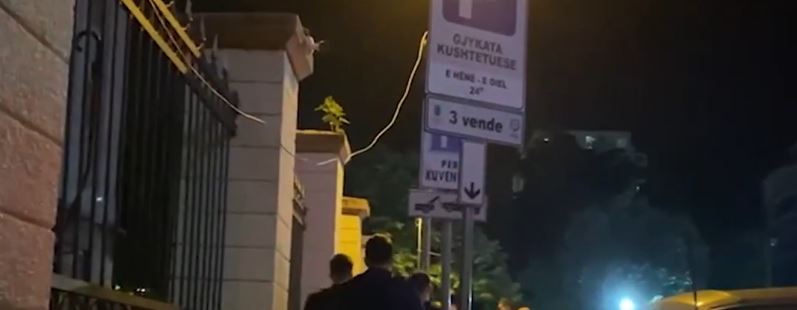 VIDEO/ Militantët e Bashës përplasen ashpër me deputetët e PD-së zyrtare: Po na torturoni Capture 32