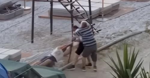VIDEO / Sherr në plazhin e Borshit, çifti që shet misra konfliktohet me një person 123