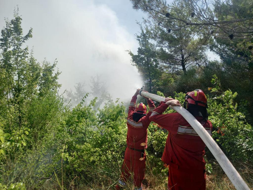Zjarret në Shqipëri, Peleshi: 5 vatra aktive të evidentuara sot. Në terren 144 efektivë të FA 363414696 844980383653340 4115193942834426190 n 1