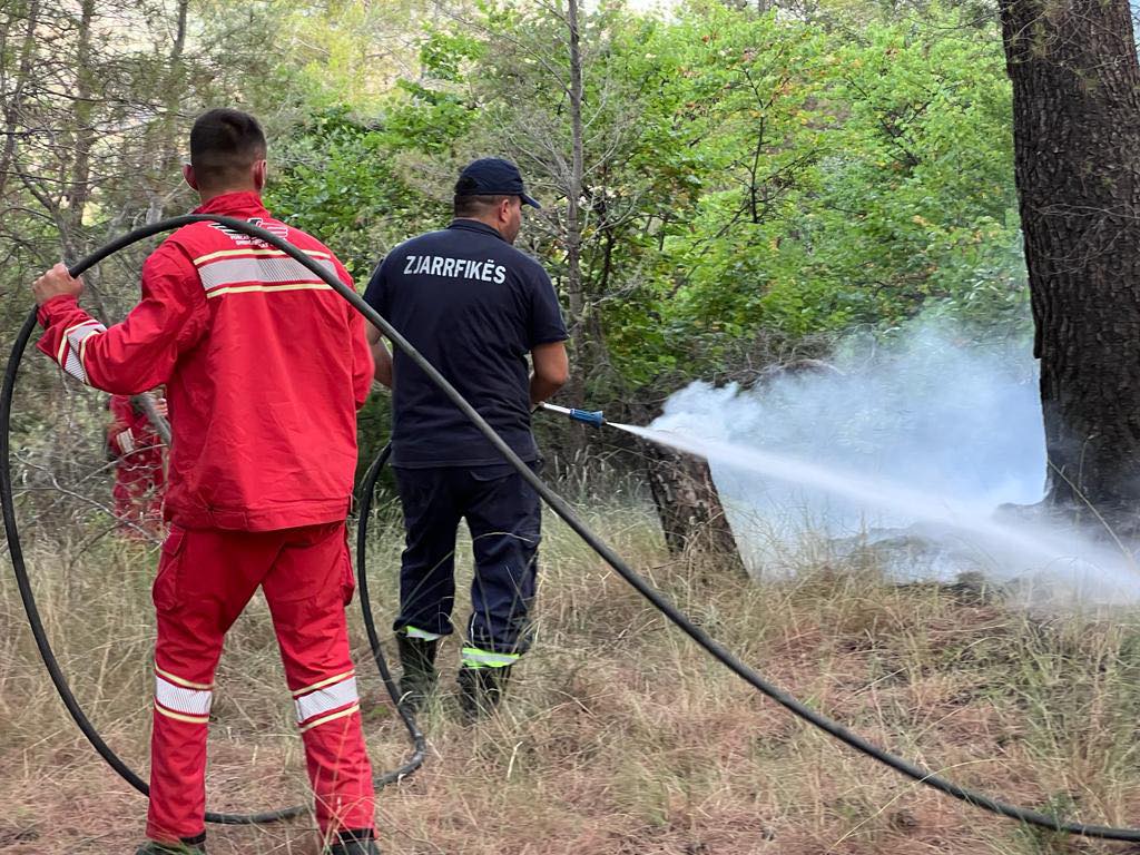 Zjarret në Shqipëri, Peleshi: 5 vatra aktive të evidentuara sot. Në terren 144 efektivë të FA 1 363755817 844980446986667 6052446865045826731 n
