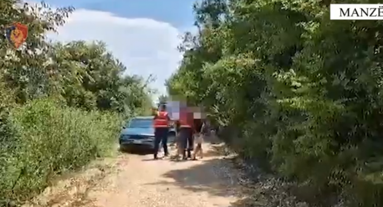Kultivonin dhe shisnin kanabis, arrestohen tre të rinj në Ishëm Manze 770x416 1