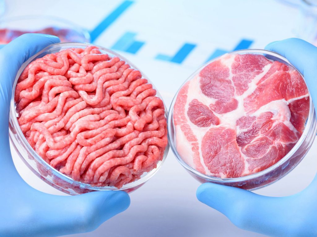 Italia vendi i parë që ndalon ushqimet sintetike carne sintetica coltivata