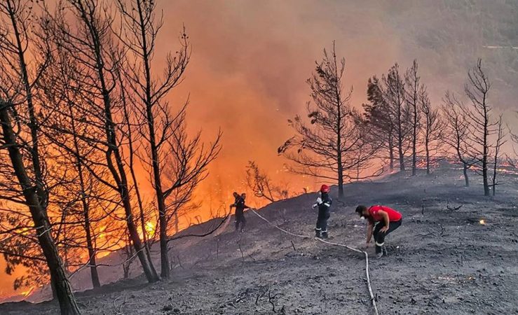 Zjarri në Rodos del jashtë kontrollit, evakuohen banorët e tre fshatrave rodos 739x450 1