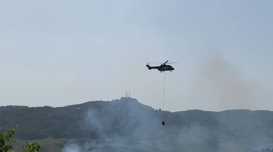 Zjarri në Peshtan të Fierit vazhdon të përhapet me shpejtësi, helikopteri u vjen në ndihmë zjarrfikësve zjarr 4