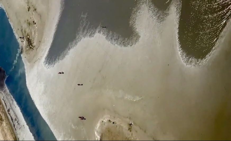 VIDEO/ “Jo në Maldive”, Rama: Pamje mahnitëse nga Divjaka jonë Capture 79 e1692339687860