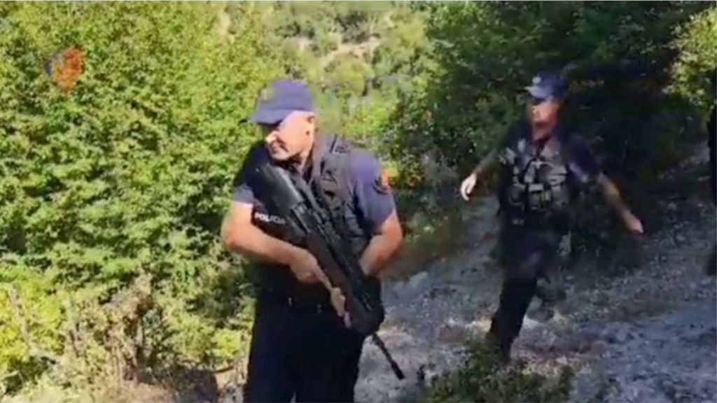 Operacion anti-drogë në veri, Dronët zbulojnë mbi 20 mijë rrënjë kanabisi, 1 në pranga dhe 10 në kërkim Gjendet kanabis ne repartin ushtarak ne Zall Herr 3 te arrestuar procedohet komandanti i toges dhe 1280x720 1 1280x720 1