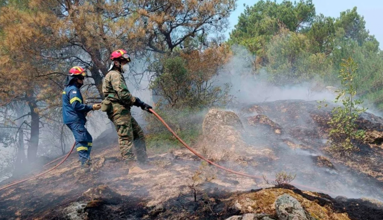 Tragjike në Greqi, gjenden të djegur 18 trupa në një pyll në pjesën veriore të vendit Greqi 1 770x442 1