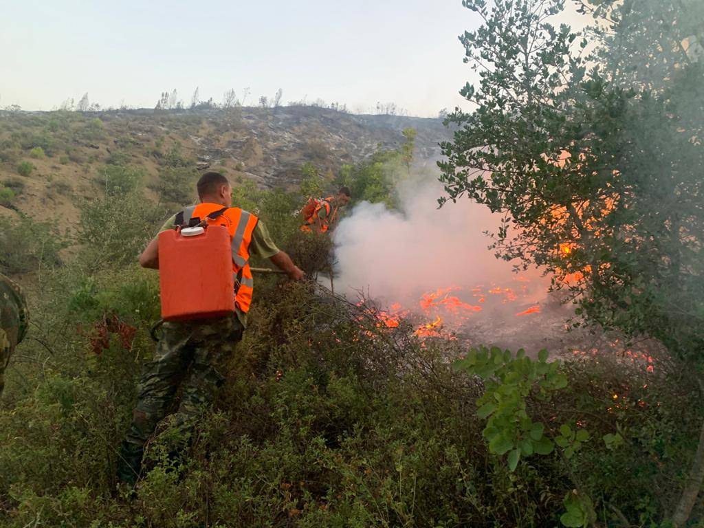 Vatër zjarri në Belsh, digjen shkurre e pemë zjarreee