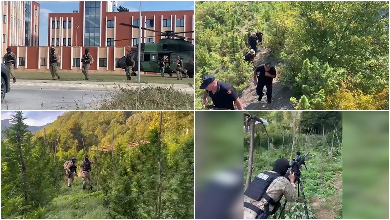 FOTO/ Mega operacion anti-kanabis në zonat e Shkodrës, plot 111 të arrestuar dhe 63 në kërkim 1694073264 aksionantidrogerenea