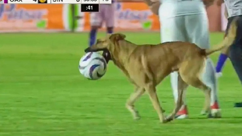 VIDEO/ Qeni futet në fushë dhe driblon disa futbollistë 1695989778 meksike