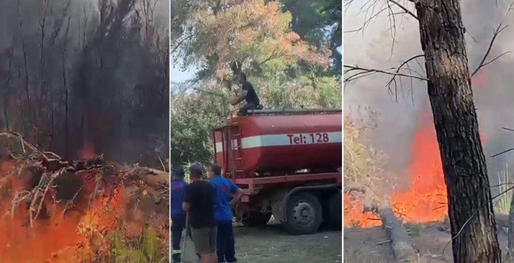 Zjarr në pyllin e Sodës në Vlorë, flakët u afrohen banesave 56565