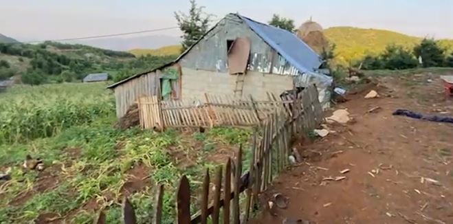 Gjyshja e 12-vjeçares rrëfen bisedën e së ndjerës me nënën: U takuan pas 7 vitesh dhe… 78787548787