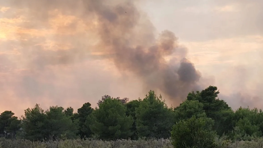 Zjarrfikëset vijojnë “luftë” me flakët në Pishporo, ndërhyrja nga ajri e pamundur gjatë natës Screenshot 2023 09 28 091733