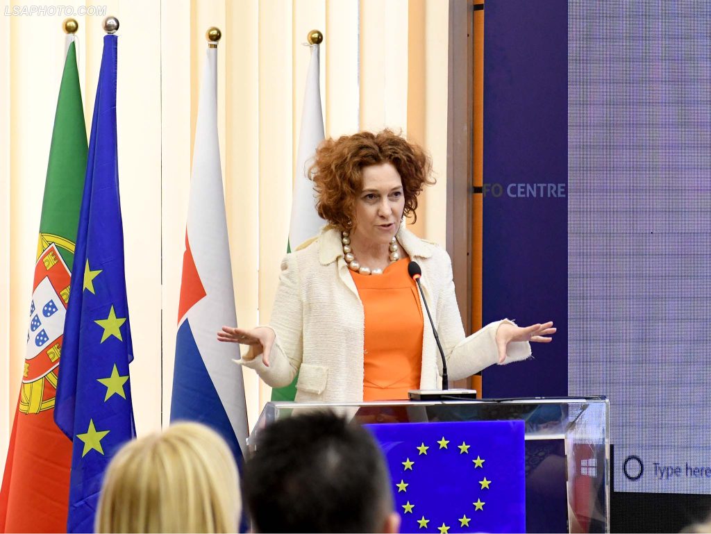 Romana Vlahutin