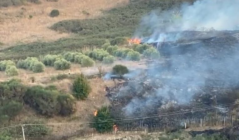 Flakët përfshijnë kodrat me ullishte në Fier gdsfgdfsg 766x450 1