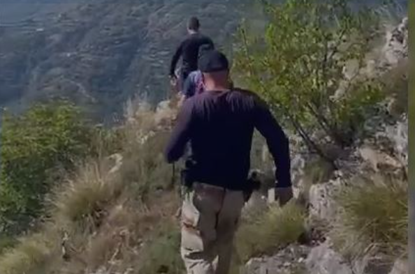 Në 18 operacione, mbi 75 mijë bimë kanabis të asgjësuara në Shkodër renea