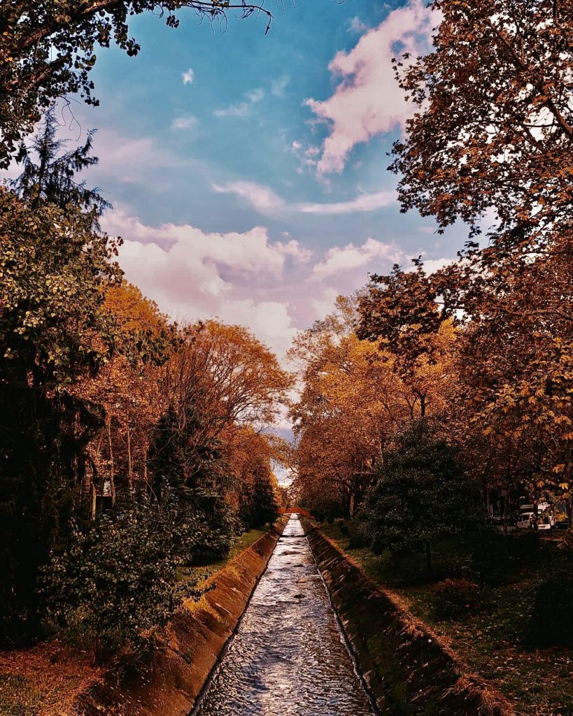 vjeshta