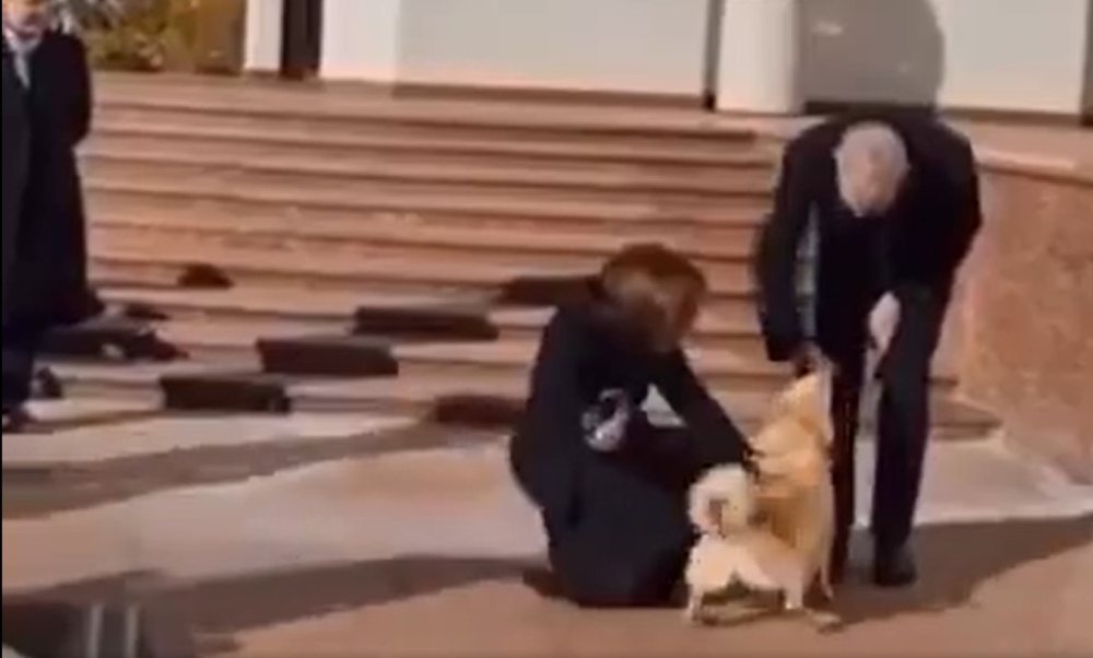 VIDEO/ Presidenti austriak e pëson keq, kafshohet nga qeni i homologes moldave 1000 0 1700213613xscreenshot 3 620