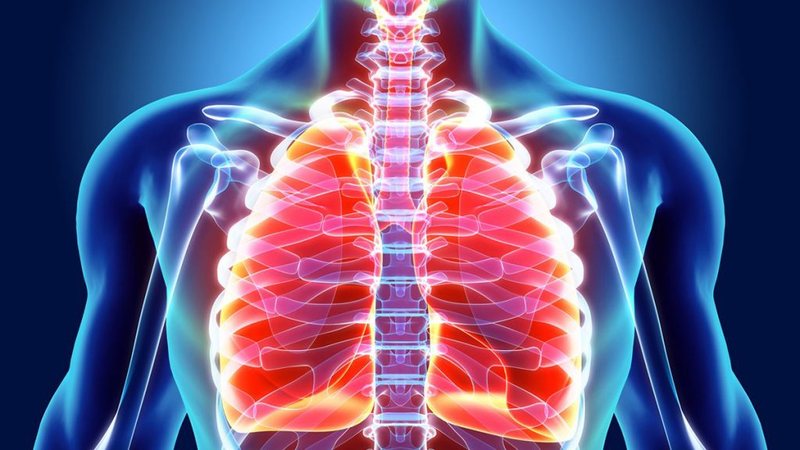 Bronkiti e pneumonia, dallimet dhe të përbashkëtat mes dy sëmundjeve bronkiti