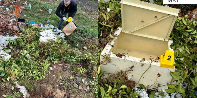 Vodhën arkën me para të xhamisë së qytetit të Burrelit, shoqërohen dy të miturit ca394f2e 3842 447b 8a05 cdda828d6108 752x440 1 750x375 1