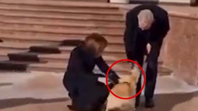 cane del presidente della moldova morde presidente austriaco kIfH 656x369@Corriere Web Nazionale