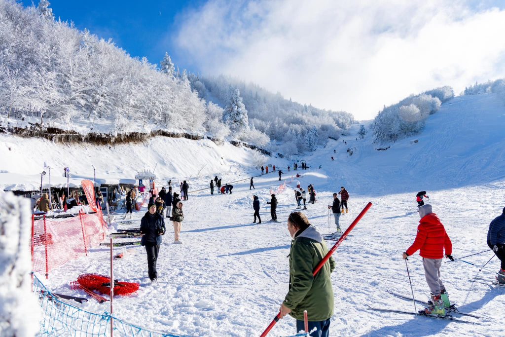 FOTO/ Rama: Pamje mbresëlënëse nga pista e skive në Dardhë, stina më e bukur për turizmin malor 8 410491090 917011896461139 1017834895966064348 n