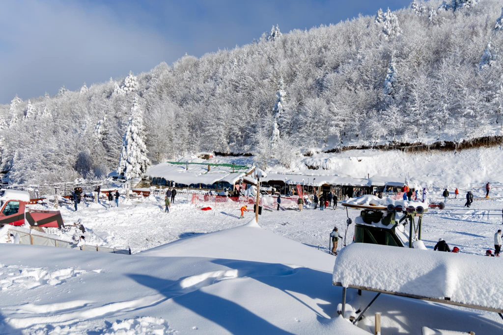FOTO/ Rama: Pamje mbresëlënëse nga pista e skive në Dardhë, stina më e bukur për turizmin malor 3 412554417 917011953127800 7042497491762873336 n