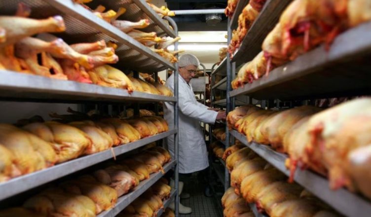 Franca rrit nivelin e rrezikut nga gripi i shpendëve IMG 6931