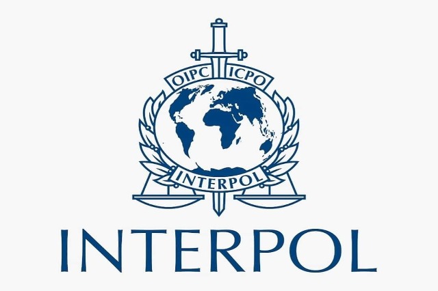 Ekstradohen nga Gjermania dhe Spanja dy shtetas, akuzohen për trafik qëniesh njerëzore dhe droge interpol