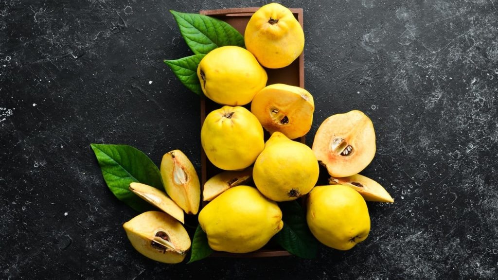 Ftoi, fruti i stinës dhe vetitë kuruese shutterstock 1636027948 1 sd