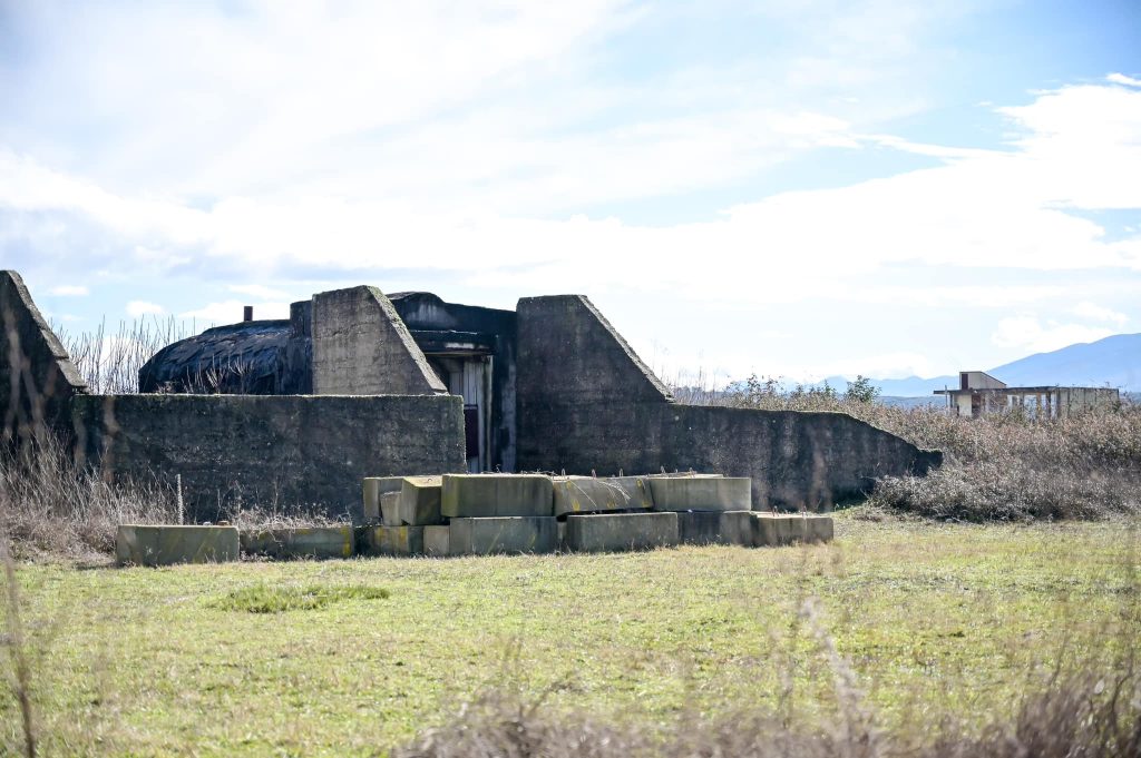 IMG 8268
