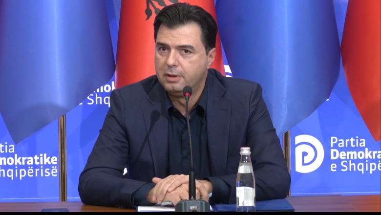Basha: Të alokohen 5 mld lekë ndihmë ushtarake për Kosovën basha