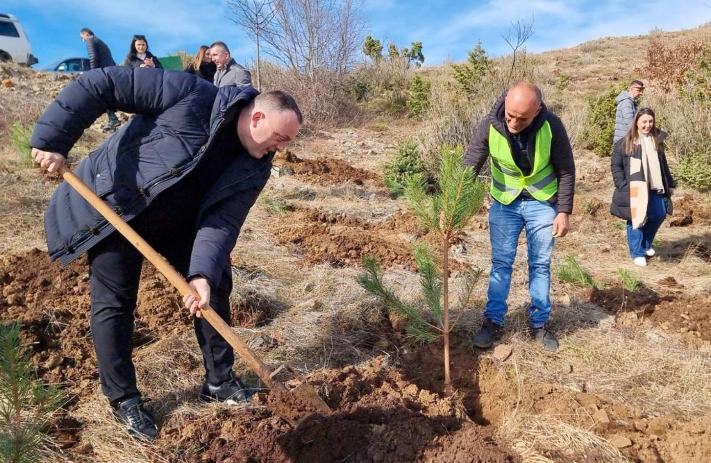 FOTO/ Viti i pyjeve, kryeministri Rama: 1500 fidanë pishe të zezë u mbollën në Muzhakë të Matit 426131368 945058236989838 772548422770953606 n