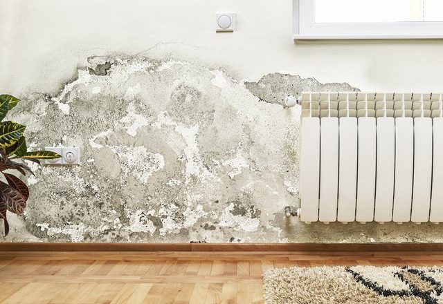 Ky produkt që e keni të gjithë në kuzhinë do t’ju shpëtojë nga lagështira në shtëpi 640 0 5fa2eae4569b5 640x440 1