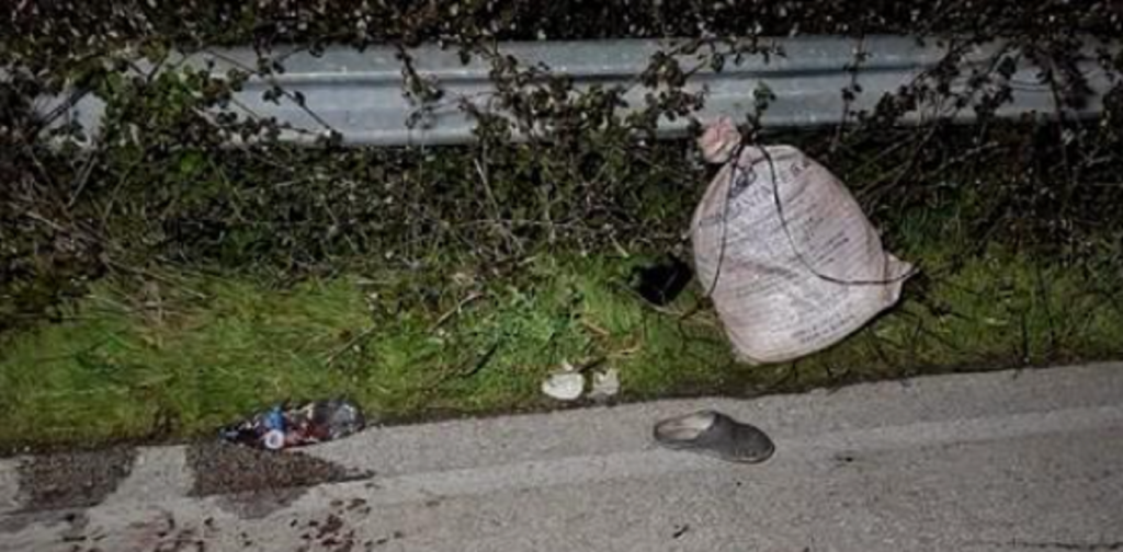 Aksident në Garbjan të Lushnjës, makina përplas një endacak dhe largohet nga vendngjarja aksidenttt