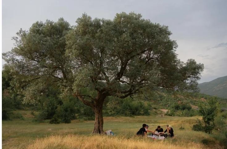 “Forbes” përzgjedh Shqipërinë në listën e vendeve të paprekura nga turizmi masiv 457878787 2