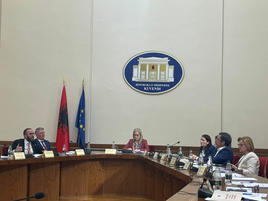 Komisioni për Dezinformimin, miratohet me votat e mazhorancës. Opozita kundër IMG 0796