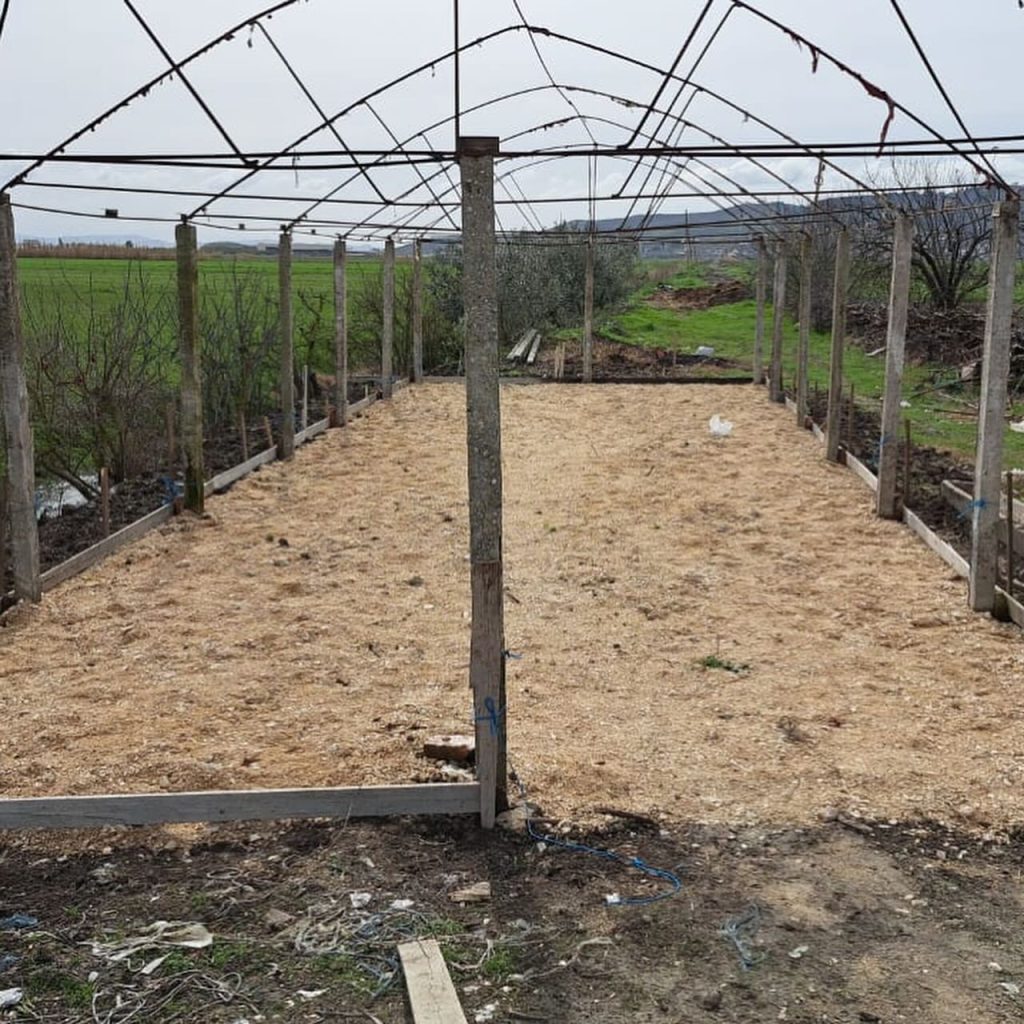 442442005 18431589943051507 348099415088740111 n