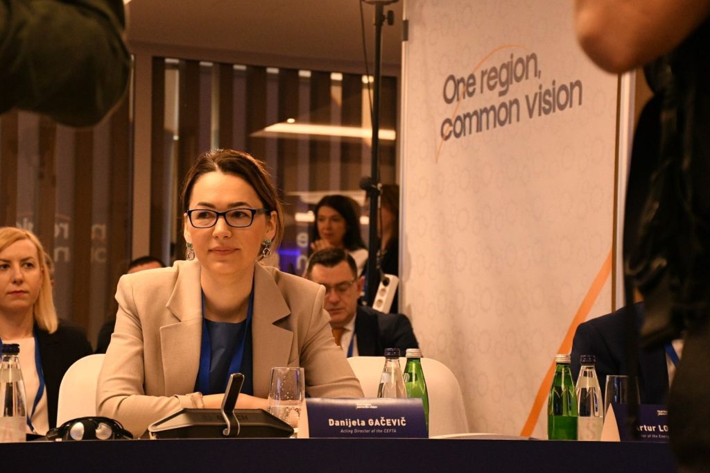 CEFTA dhe Instrumentet e Tregut të Përbashkët Rajonal për integrimin e përshpejtuar të Ballkanit Perëndimor në tregun e vetëm të BE-së 1 WhatsApp Image 2024 05 16 at 17.47.32