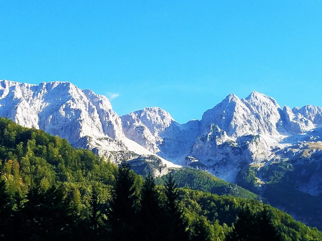 427021764 1777426052669569 6020603437817556280 n