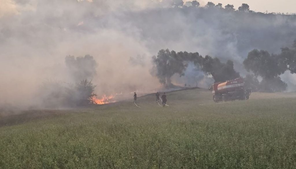 Vatra e zjarrit në Kavajë, ministri Balla në terren ndjek nga afër operacionin. Policia ka evakuar banorët 1 Capture 71