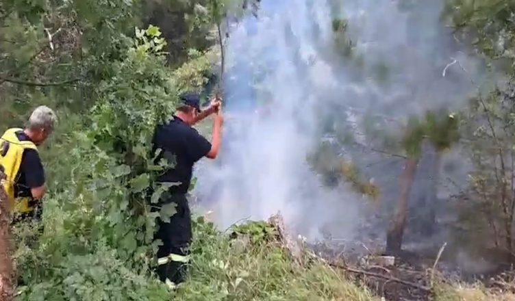 Forcat e shumta në luftë me flakët në Parkun Kombëtar “Lurë Mali Dejës” për të tretën ditë radhazi IMG 6943