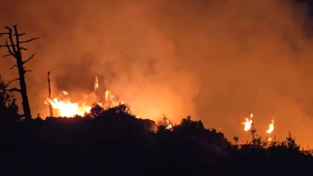 Në 24 orë, 21 vatra zjarri në Shqipëri! IMG 7726